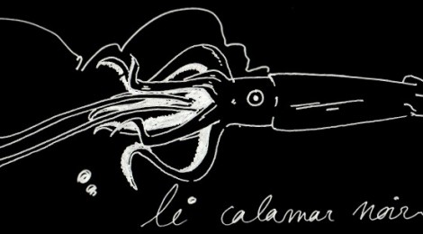 le calamar noir