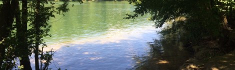 Une promenade au bord de la Seine - Les Mains Vertes