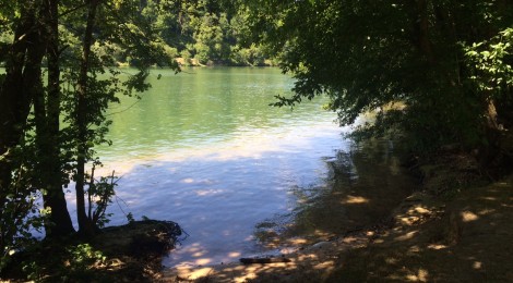 Une promenade au bord de la Seine - Les Mains Vertes